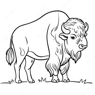 Pahina Ng Kulay Ng Silweta Ng Buffalo 107641 44757