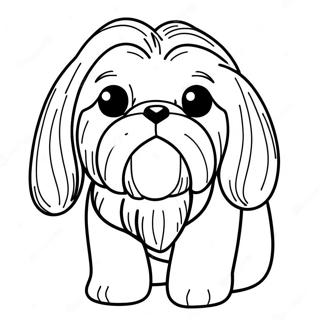 Pahina Ng Kulay Ng Shih Tzu 112700-48777