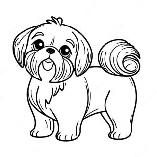 Pahina Ng Kulay Ng Shih Tzu 112700-48780