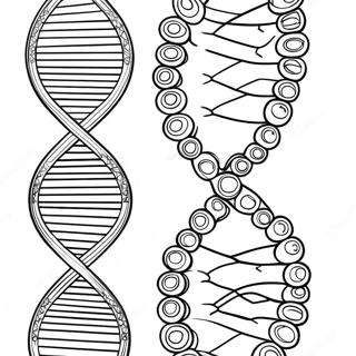 Pahina Ng Kulay Ng Dna Structure 129942-63010