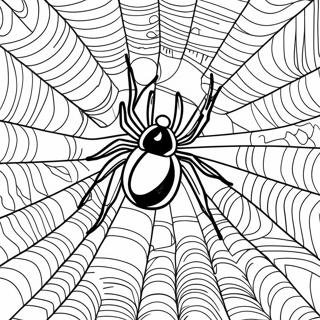 Masalimuot Na Spider Web Na Pahina Ng Kulay 130354-63339