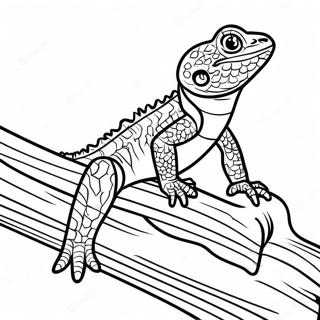 Mahalagang Bearded Dragon Sa Log Na Pahina Ng Kulay 48618-10648