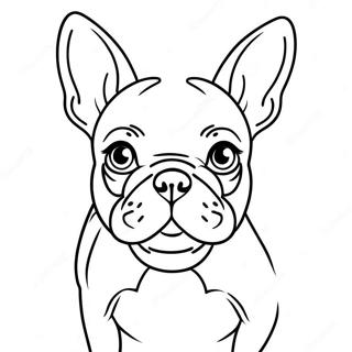 Pahina Ng Kulay Ng French Bulldog 72336-16105