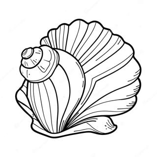 Pahina Ng Kulay Para Sa Seashell 74137-17507