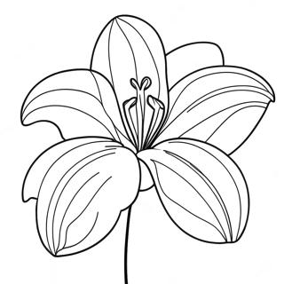 Pahina Ng Kulay Ng Lily Flower 87311-27843