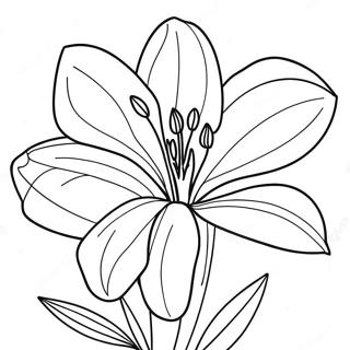 Pahina Ng Kulay Ng Lily Flower 87311-27844