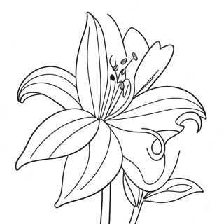 Pahina Ng Kulay Ng Magandang Lily Flower 87312-27845