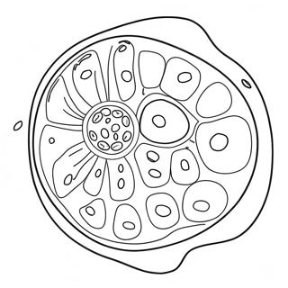 Plant Cell Mga Pahina Ng Kulay