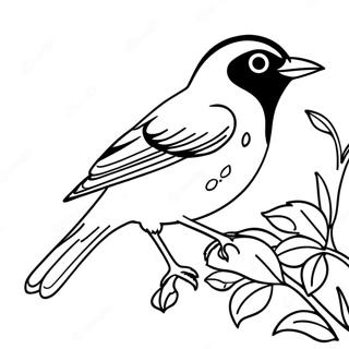 Pahina Ng Kulay Ng Orioles 99393-38207