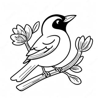 Pahina Ng Kulay Ng Orioles 99393-38208