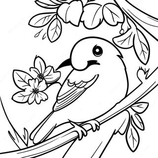 Pahina Ng Kulay Ng Orioles Na Nagtatayo Ng Nest Sa Puno 99395-38023