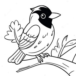 Pahina Ng Kulay Ng Orioles Na May Maliwanag Na Balahibo 99397-38222